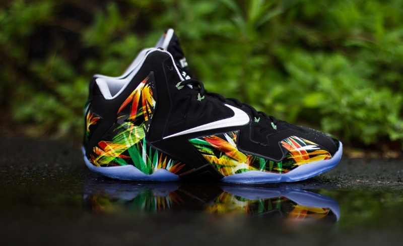 Nike Lebron 11 Everglade